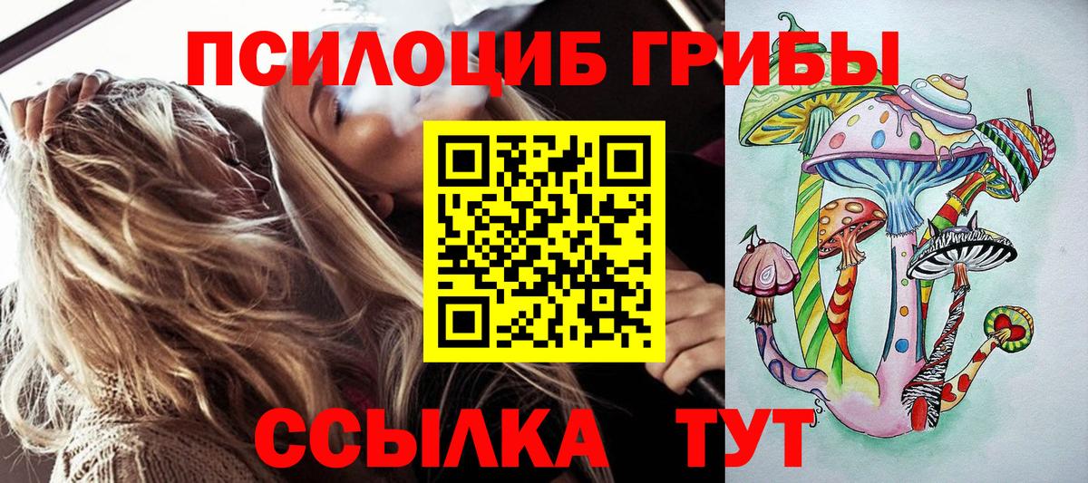 Новочебоксарск  купить наркотики сайты  Вход с VPN  Галлюциногенные грибы мицелий 