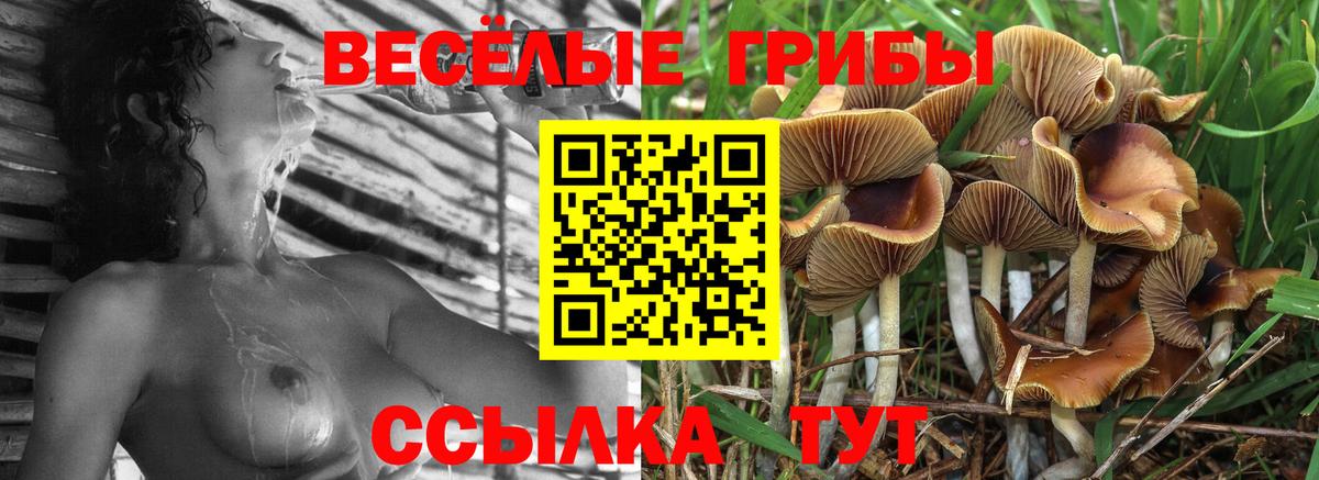 Галлюциногенные грибы прущие грибы Новочебоксарск